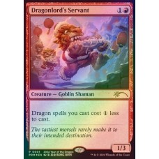 Dragonlord's Servant